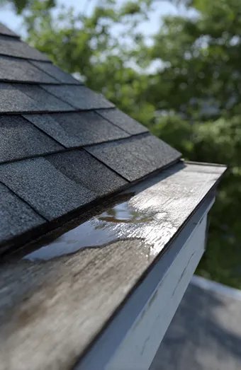 Roof Leak Repair X